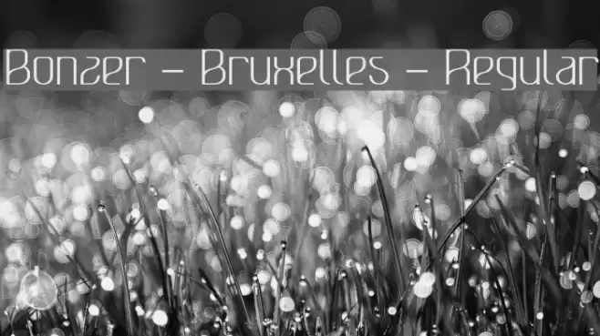 Bonzer - Bruxelles - Regular Font examples