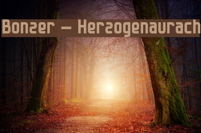 Bonzer - Herzogenaurach Font examples
