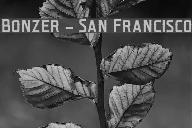 Bonzer - San Francisco Шрифта examples