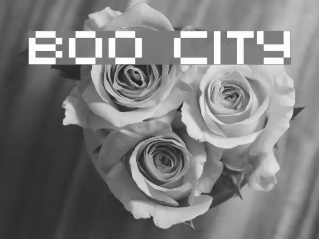 Boo City Font examples