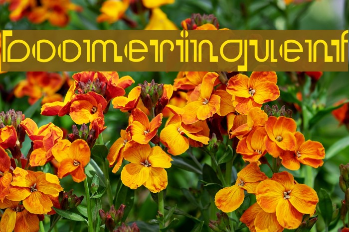 BooMeringueNF Font examples
