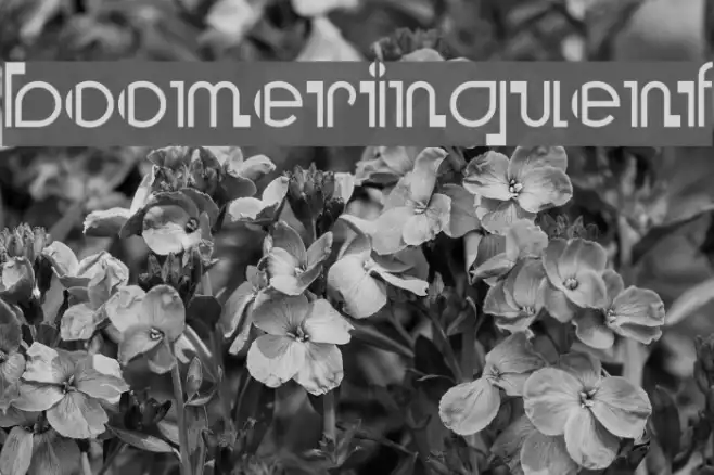 BooMeringueNF Example 1