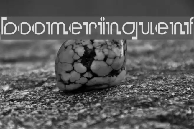 BooMeringueNF Example 2