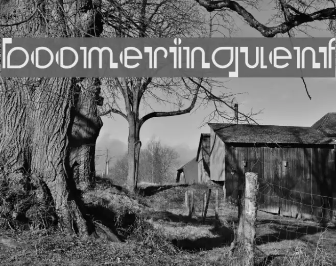 BooMeringueNF Example 3