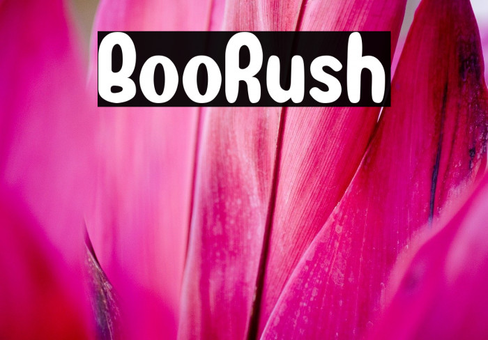 BooRush Font examples