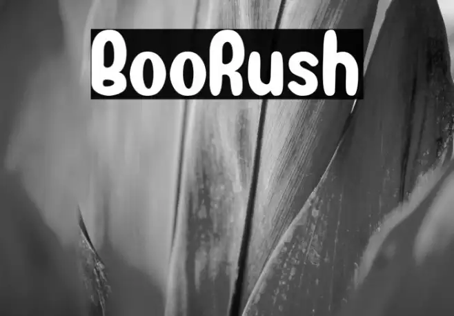 BooRush Example 1