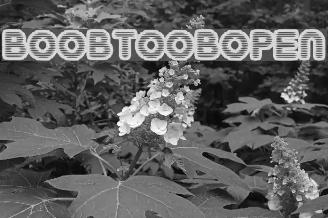 BoobToobOpen Шрифта examples