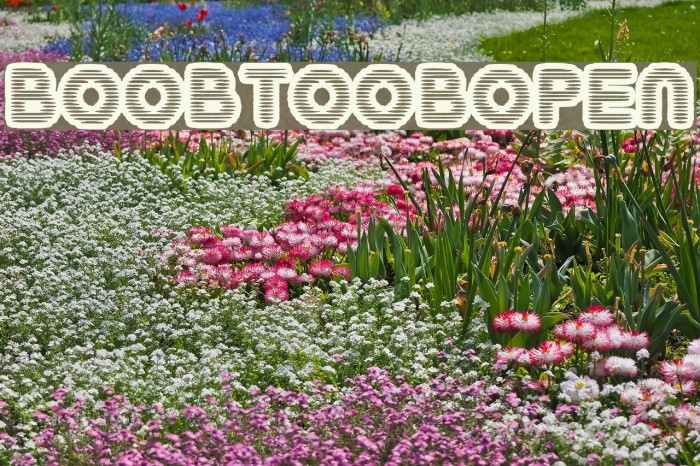BoobToobOpen Шрифта examples