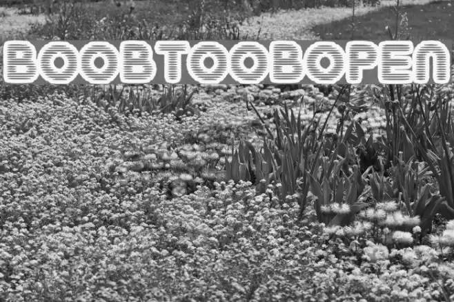 BoobToobOpen Шрифта examples