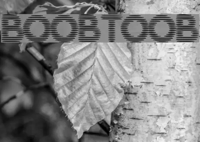 BoobToob Font examples