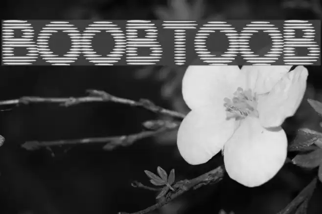 BoobToob Font examples