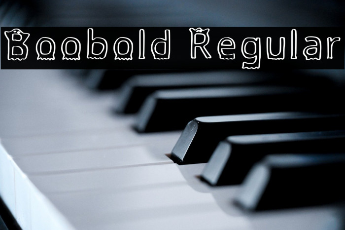 Boobold Regular Example 2