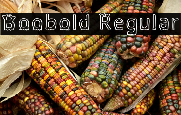 Boobold Regular Example 3