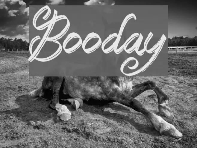 Booday Font examples
