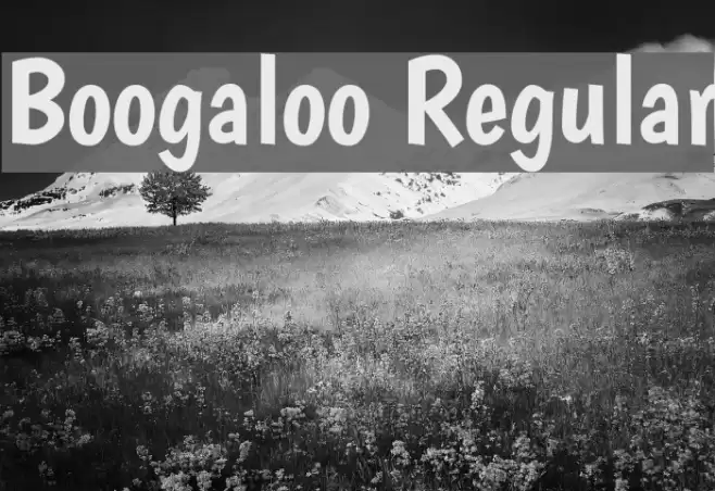 Boogaloo Regular Fuentes examples