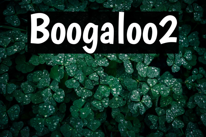Boogaloo2 Example 1
