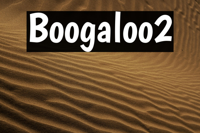 Boogaloo2 Example 3