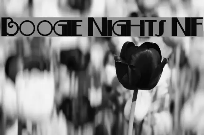 Boogie Nights NF Example 3