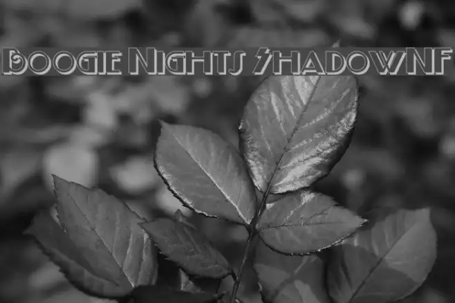 Boogie Nights ShadowNF Example 2