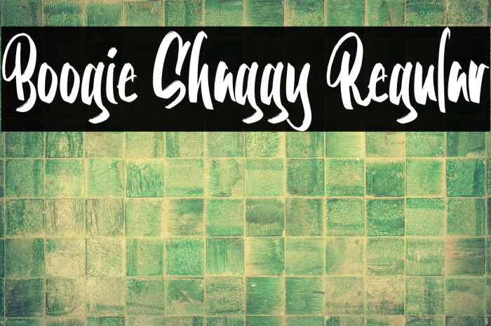 Boogie Shaggy Regular Example 1