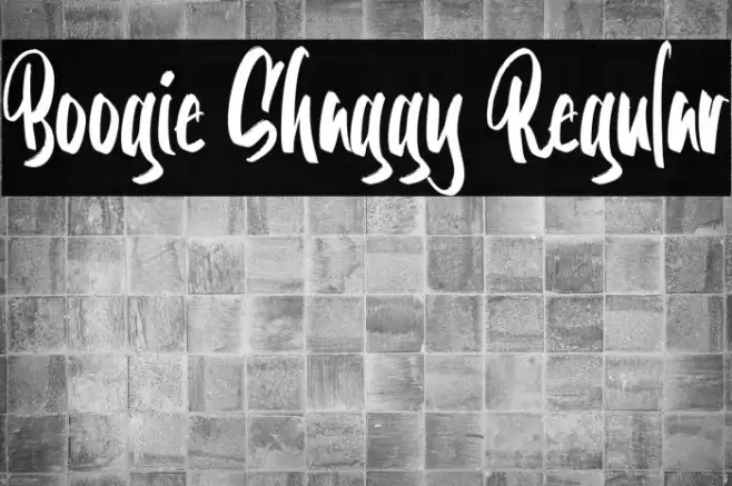 Boogie Shaggy Regular Example 1