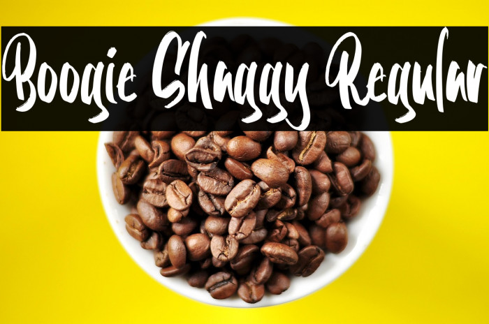 Boogie Shaggy Regular Example 2