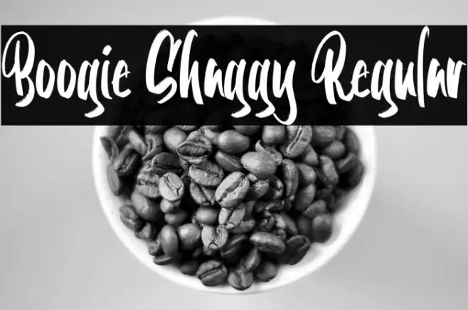 Boogie Shaggy Regular Example 2