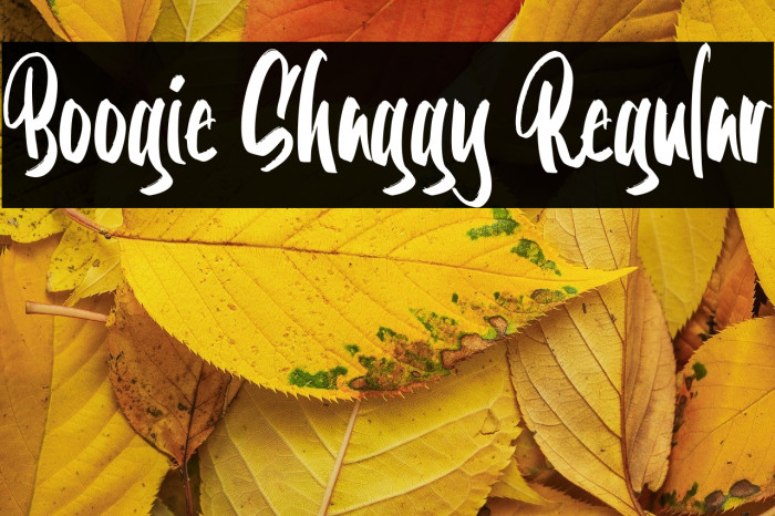 Boogie Shaggy Regular Example 3