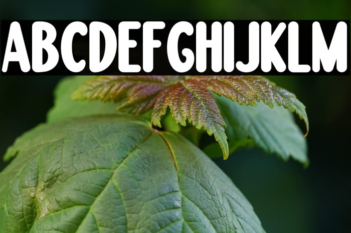 Boogie worth Two Example 1