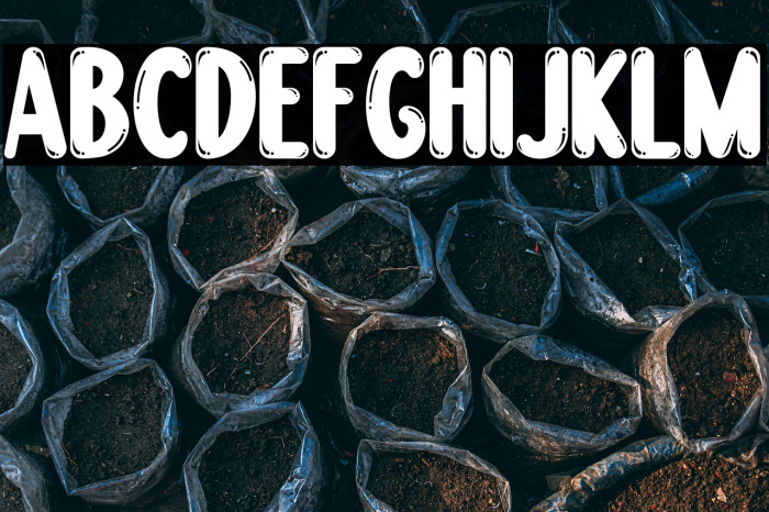 Boogie worth Example 1