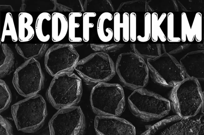 Boogie worth Font examples