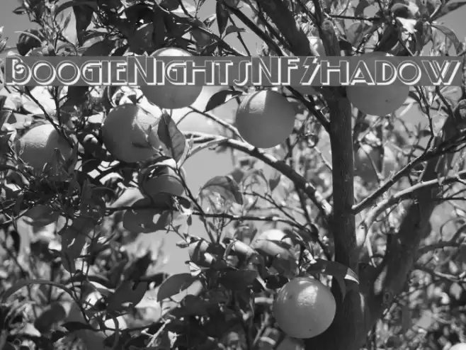 BoogieNightsNFShadow Font examples