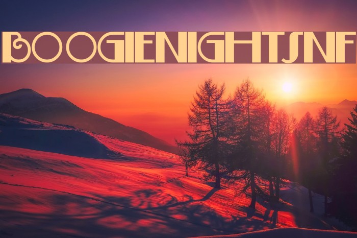 BoogieNightsNF フォント examples
