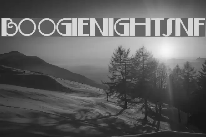 BoogieNightsNF Font examples