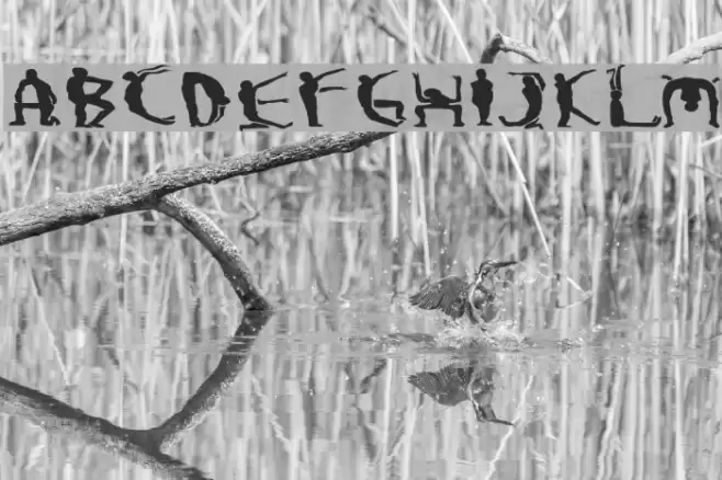 Boogieman Caratteri examples