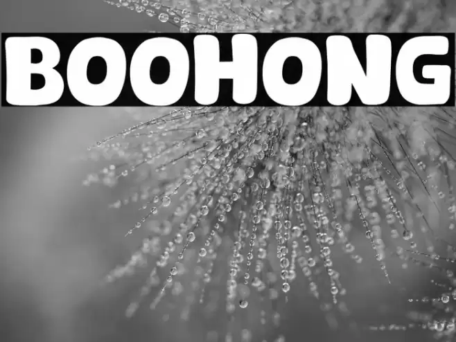 Boohong Schriftart examples
