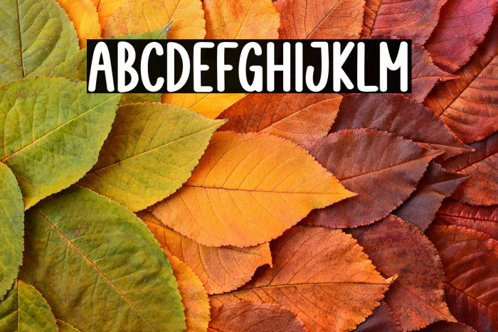 Book Mockup Example 2