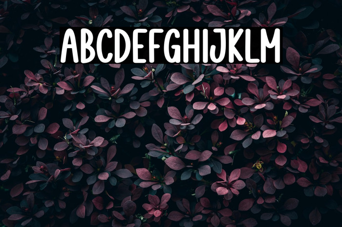 Book Mockup Example 3