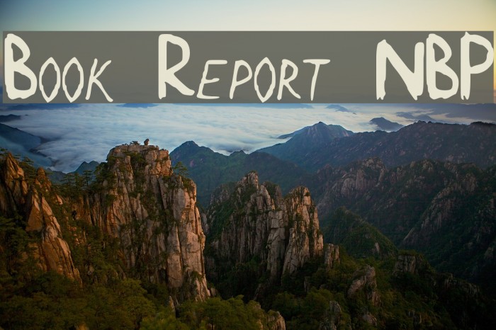 Book Report NBP Font examples