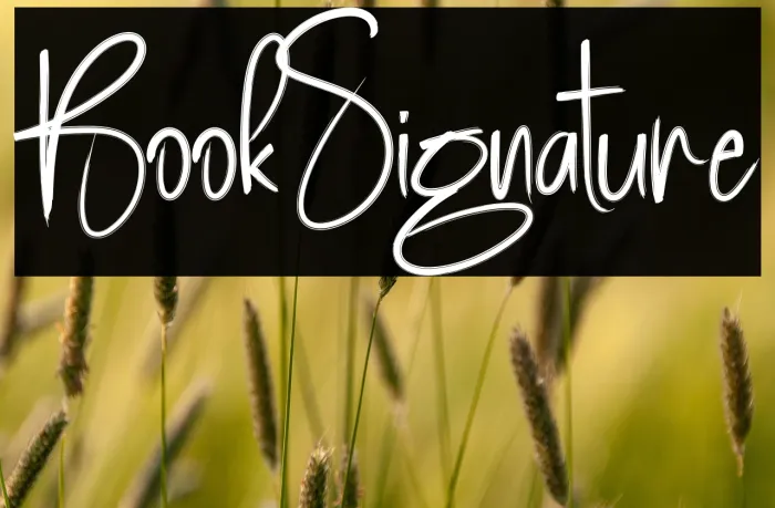 Book Signature Example 3