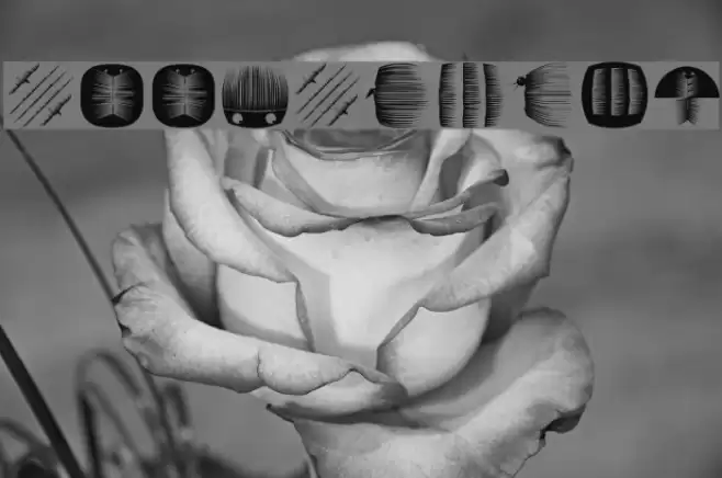 BookBeings Font examples