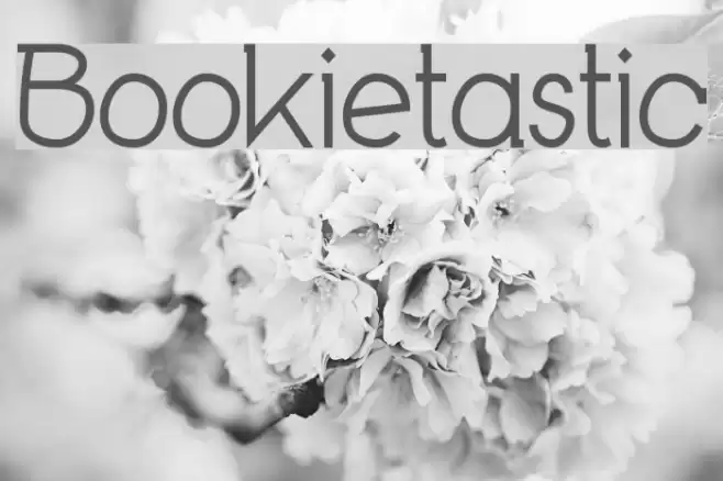Bookietastic Font examples