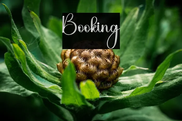 Booking Example 2