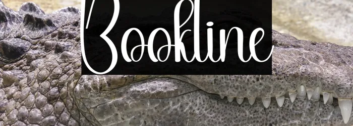 Bookline Example 3