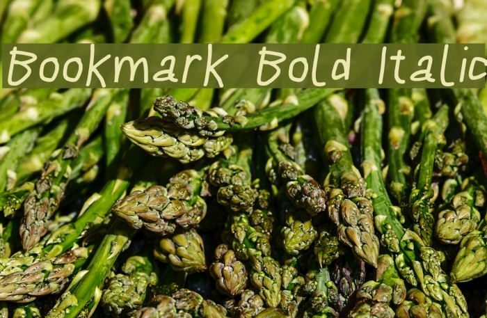 Bookmark Bold Italic Font examples