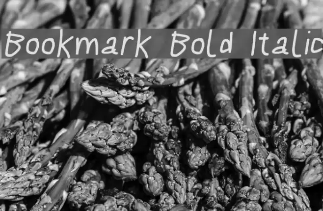 Bookmark Bold Italic examples