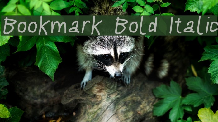 Bookmark Bold Italic Font examples