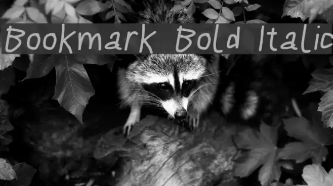 Bookmark Bold Italic examples