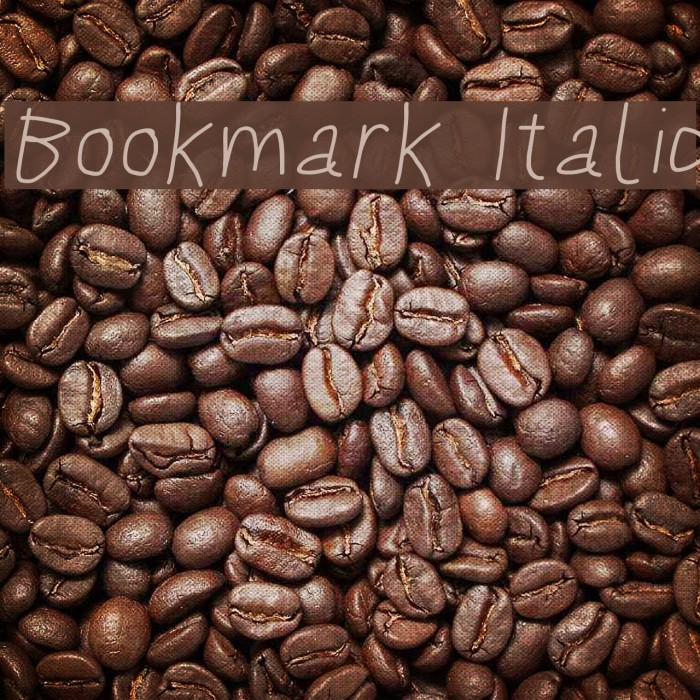 Bookmark Italic Font examples