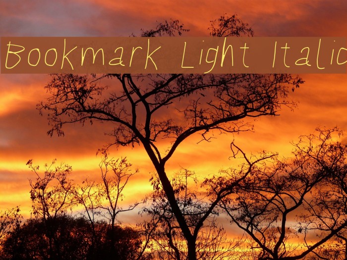 Bookmark Light Italic フォント examples